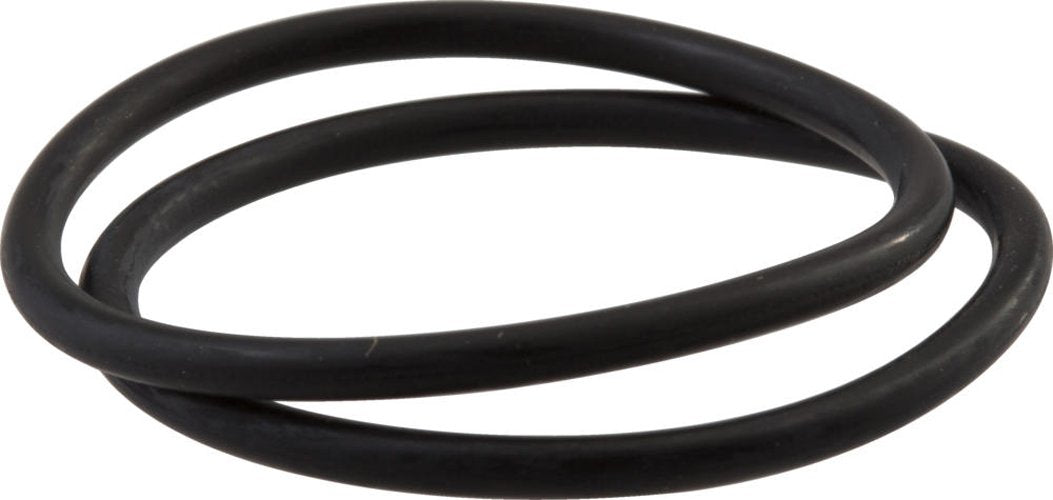 Two black rubber o-rings stacked together on white background.
