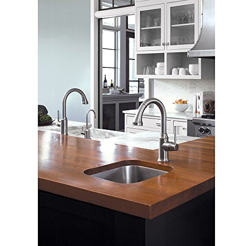 Polished nickel bar faucet with curved spout installed over undermount sink in wood countertop kitchen.