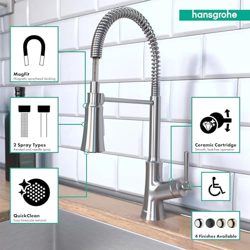 Steel Optic semi-pro kitchen faucet with high curved spout, pull-down spray head, and flexible hose.