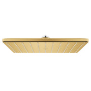 Grohe Rainshower 26570GN0 310 Mono Shower Head, 12" - 1 Spray, 1.75 gpm in Grohe Brushed Cool Sunrise