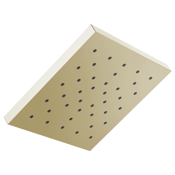 Square champagne bronze shower head with multiple small spray holes across flat surface.