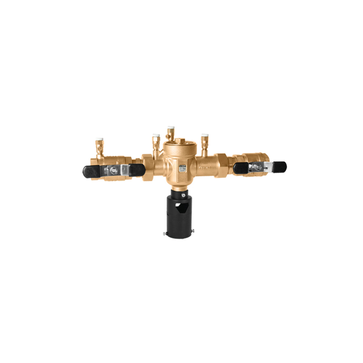 Caleffi 574900A Backflow Preventer 2 Inch NPT Brass