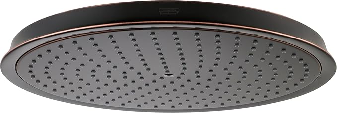 Rubbed bronze round shower head with multiple small spray jets across face, 300mm diameter.