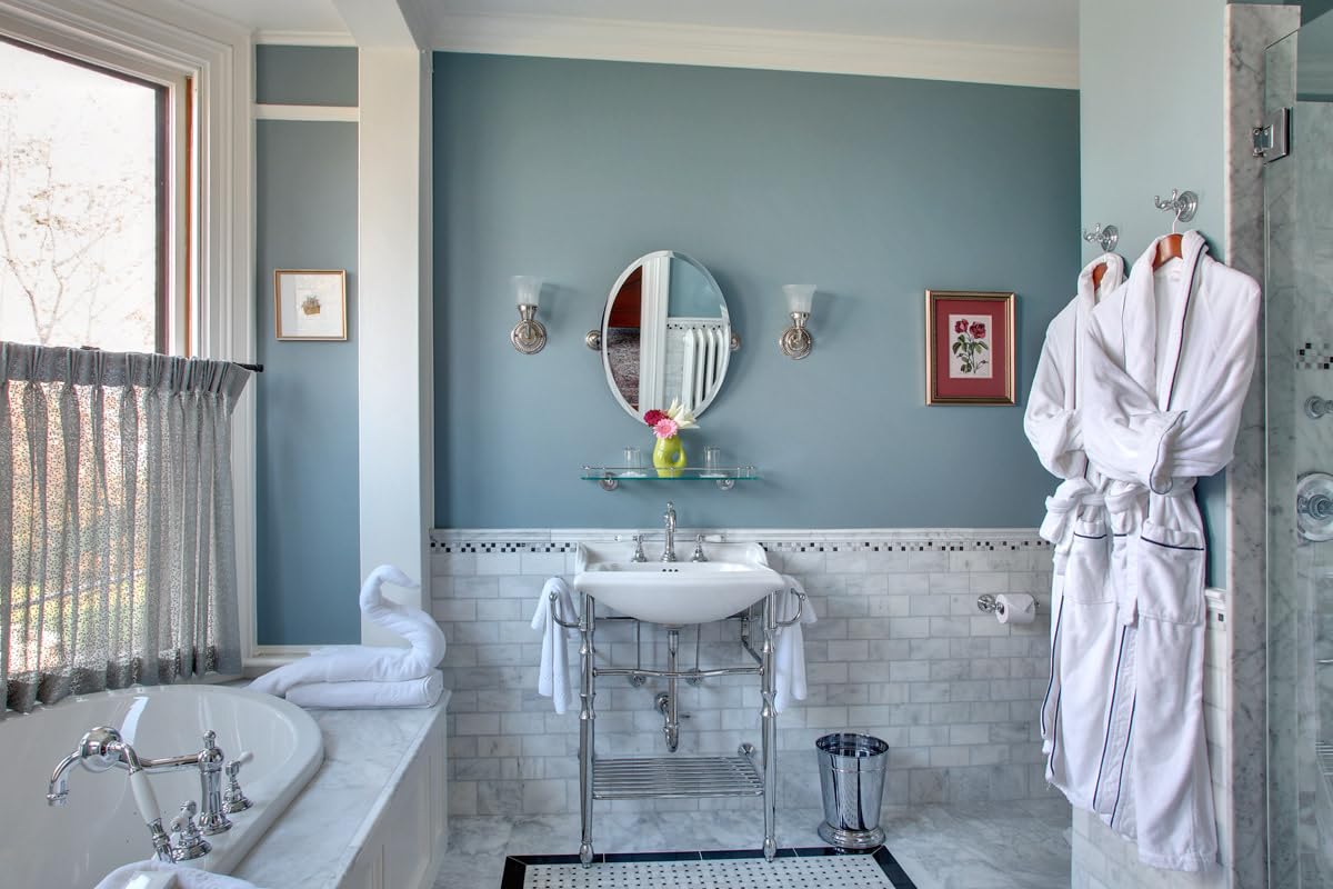 Polished chrome spring-loaded toilet paper holder mounted on blue bathroom wall beside round mirror.