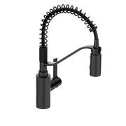 Matte black kitchen faucet with flexible coiled sprayer head and single handle control on cylindrical base.