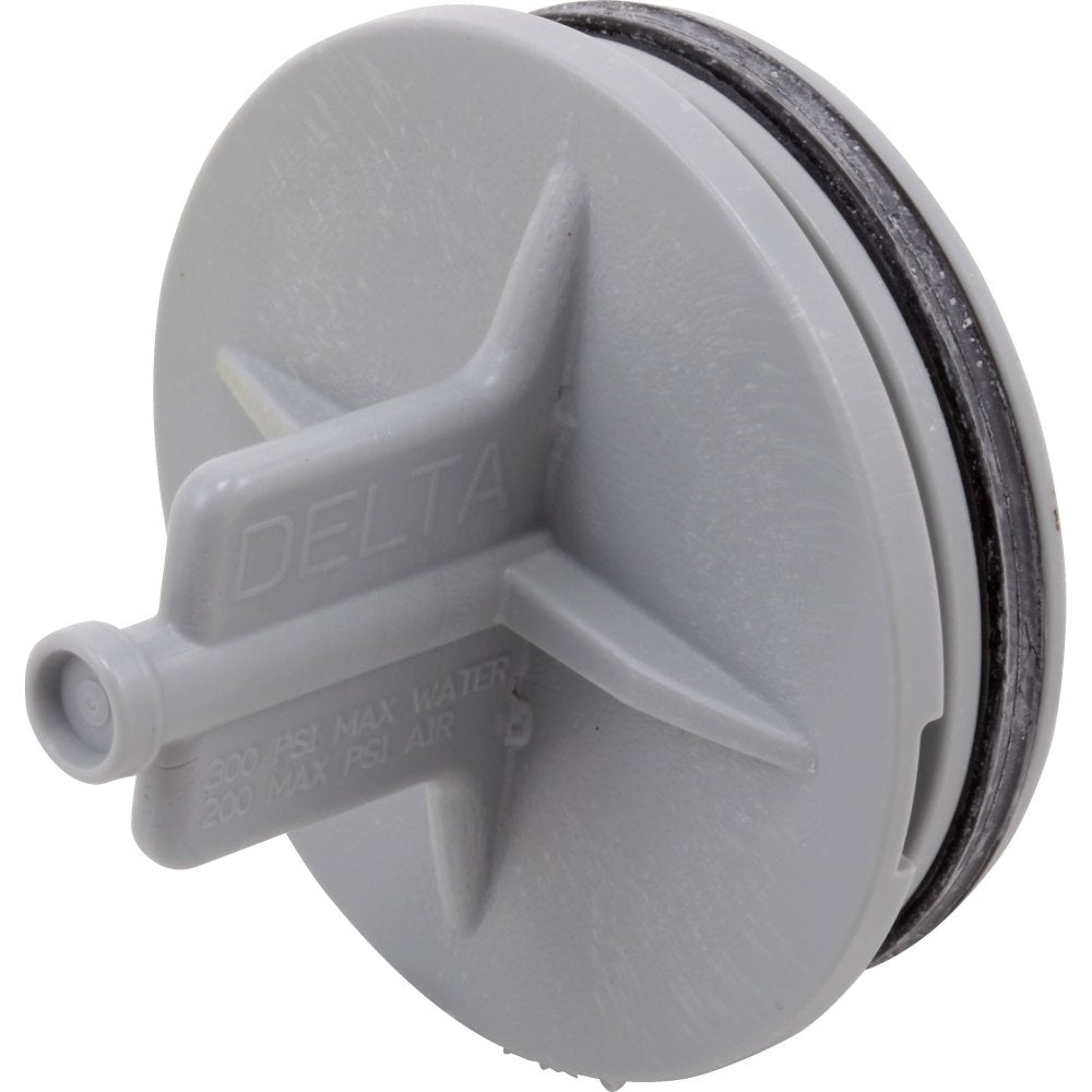White plastic Delta pressure test cap with black rubber seal and protruding test valve.