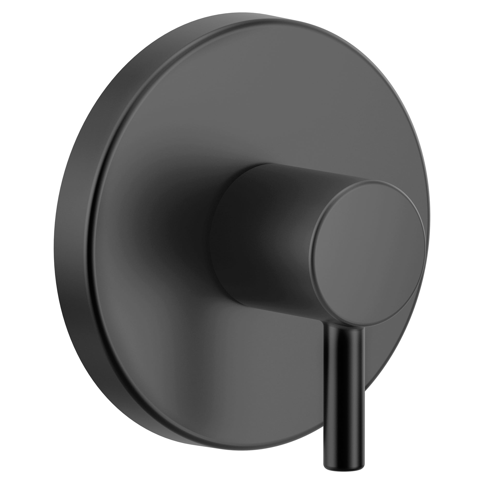 Matte black single-handle transfer valve trim with circular escutcheon plate and cylindrical lever handle.