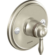 Brushed nickel valve trim with circular backplate, lever handle, and hot/cold indicator buttons.