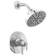 Chrome showerhead with curved arm and matching round valve trim plate with lever handle.