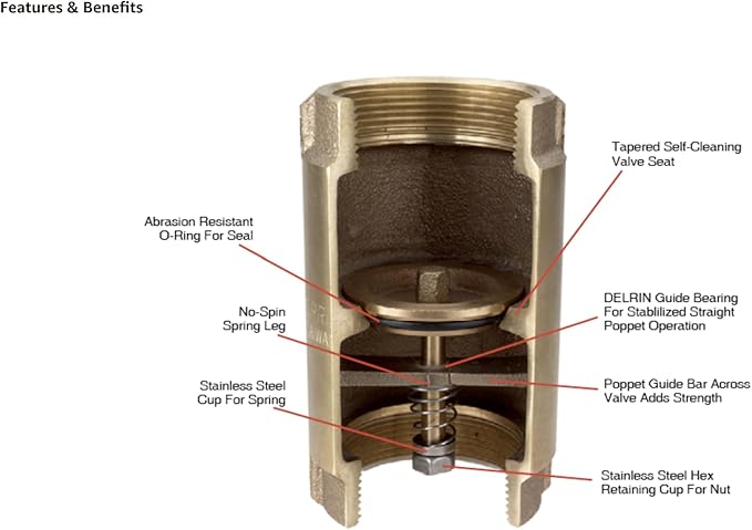 Brass check valve with 3/4 inch threaded connections and internal spring mechanism visible in cross-section.