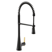 Matte black pulldown kitchen faucet with coiled hose, single handle, and gold accent lever on base.