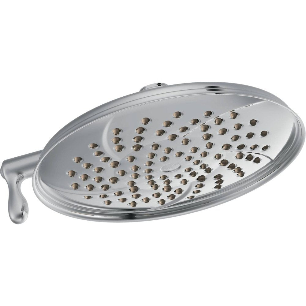 Chrome oval showerhead with multiple spray nozzles and curved handle on left side.