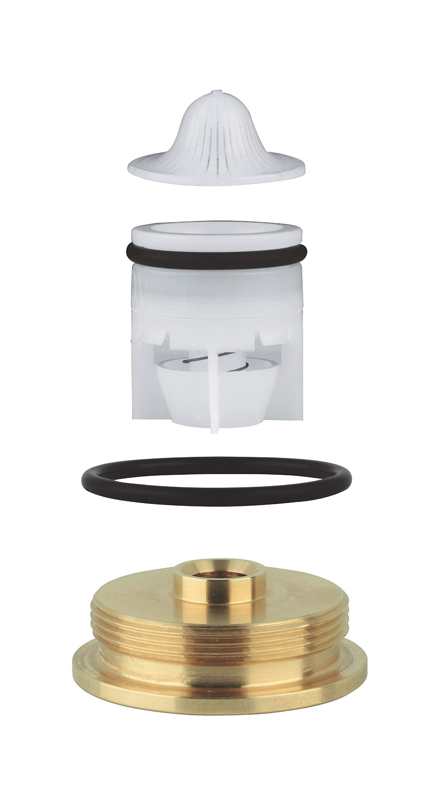 Disassembled non-return valve with white plastic cap, cartridge, black seals, and brass base component.