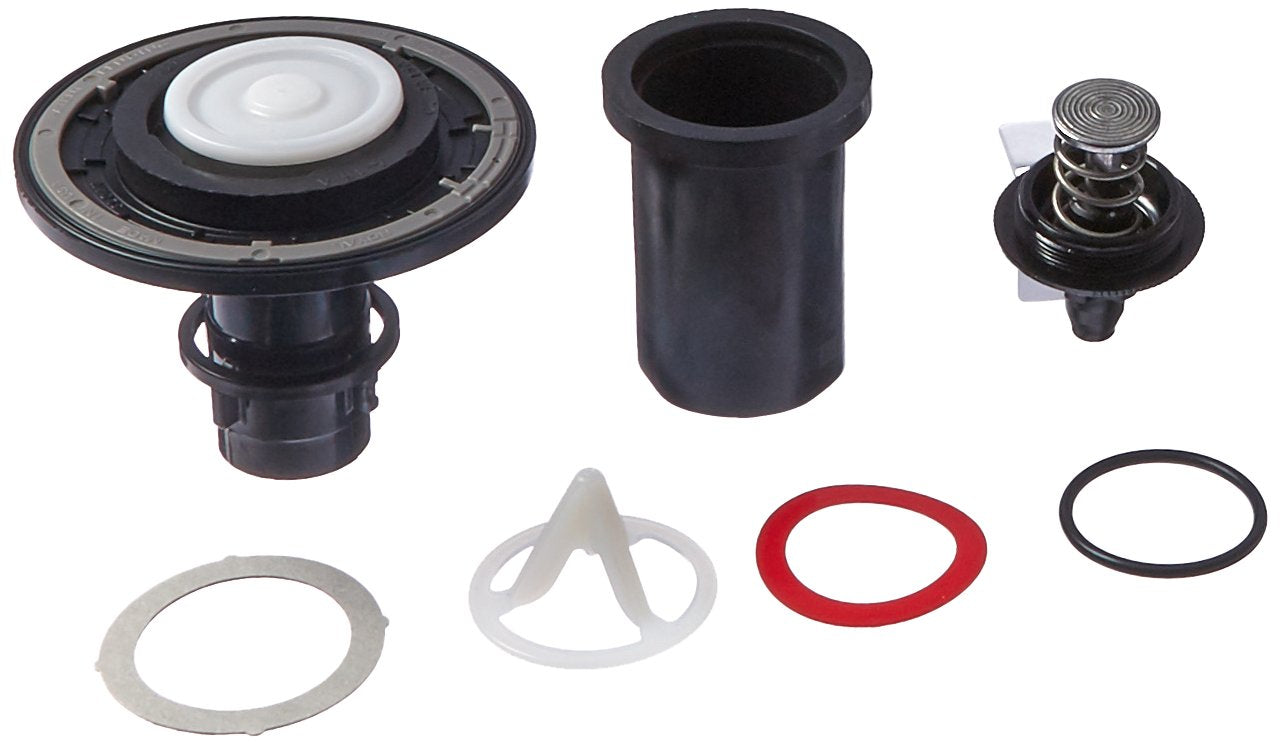 Sloan Valve diaphragm kit components including black valve body, cylinder, metal cartridge, and rubber seals.