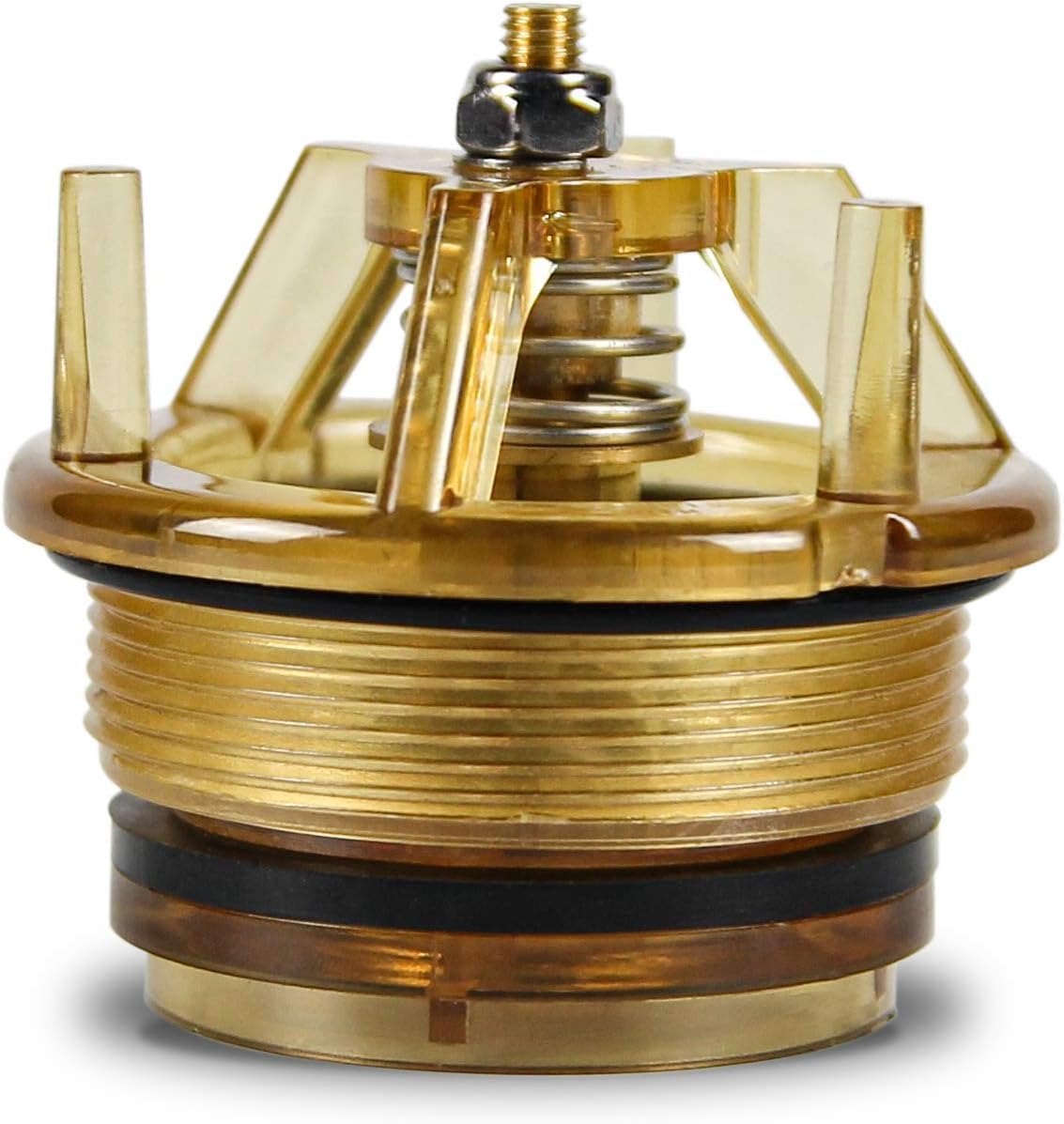 Brass bonnet and poppet assembly with black stem and internal spring mechanism, threaded top connection.