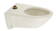 Cotton white wall-mount toilet bowl with brass flush valve and mounting hardware visible.