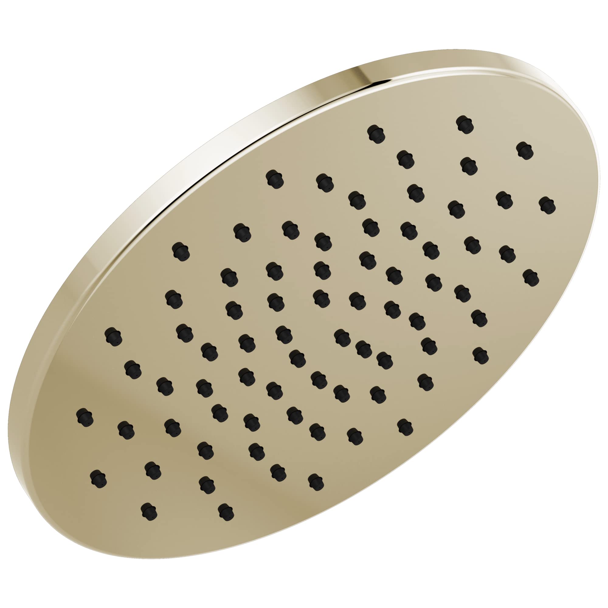 Round brushed nickel raincan shower head with multiple black spray holes across the face and chrome trim ring.