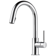 Chrome single-handle kitchen faucet with curved pull-down spout and cylindrical handle.