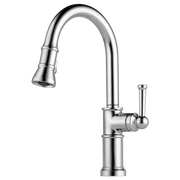 Stainless steel kitchen faucet with curved spout, single lever handle, and pull-down spray head.