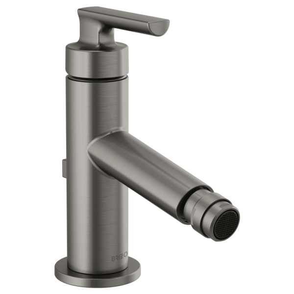 Brushed stainless steel single-handle bidet faucet with angled spray wand and lever control.