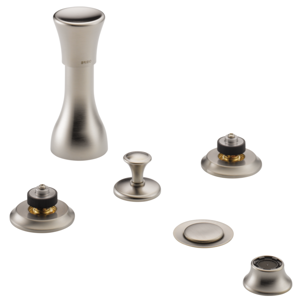 Brizo Rook bidet faucet with brushed nickel finish spout and matching trim components.
