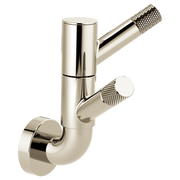 Brizo Litze Rotating Double Robe Hook with Knurling
