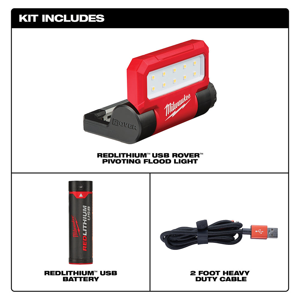 Red and black LED flood light with pivoting head, USB battery, and charging cable included in kit.