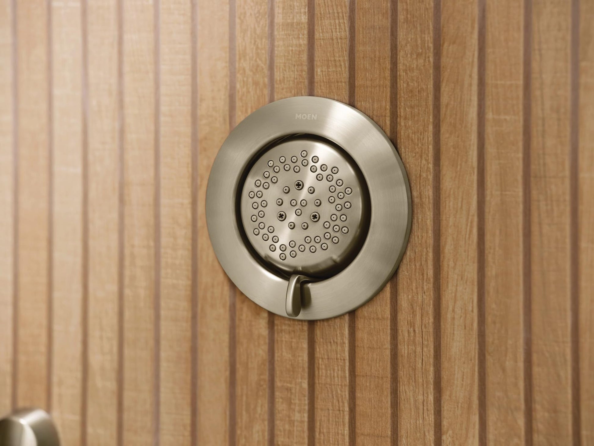 Brushed nickel circular shower head with multiple spray nozzles and control lever mounted on wood wall.
