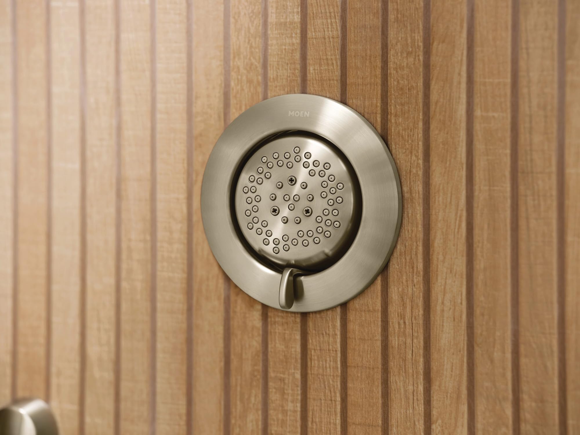 Brushed nickel circular shower head with multiple spray nozzles and control lever mounted on wood wall.