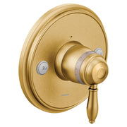 Brushed gold thermostatic shower valve trim with round backplate, control knob, and lever handle marked "Hot".