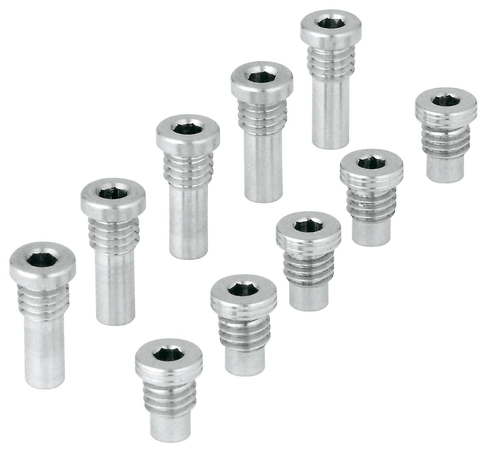 Set of ten chrome socket head screws with hex recesses in various sizes.