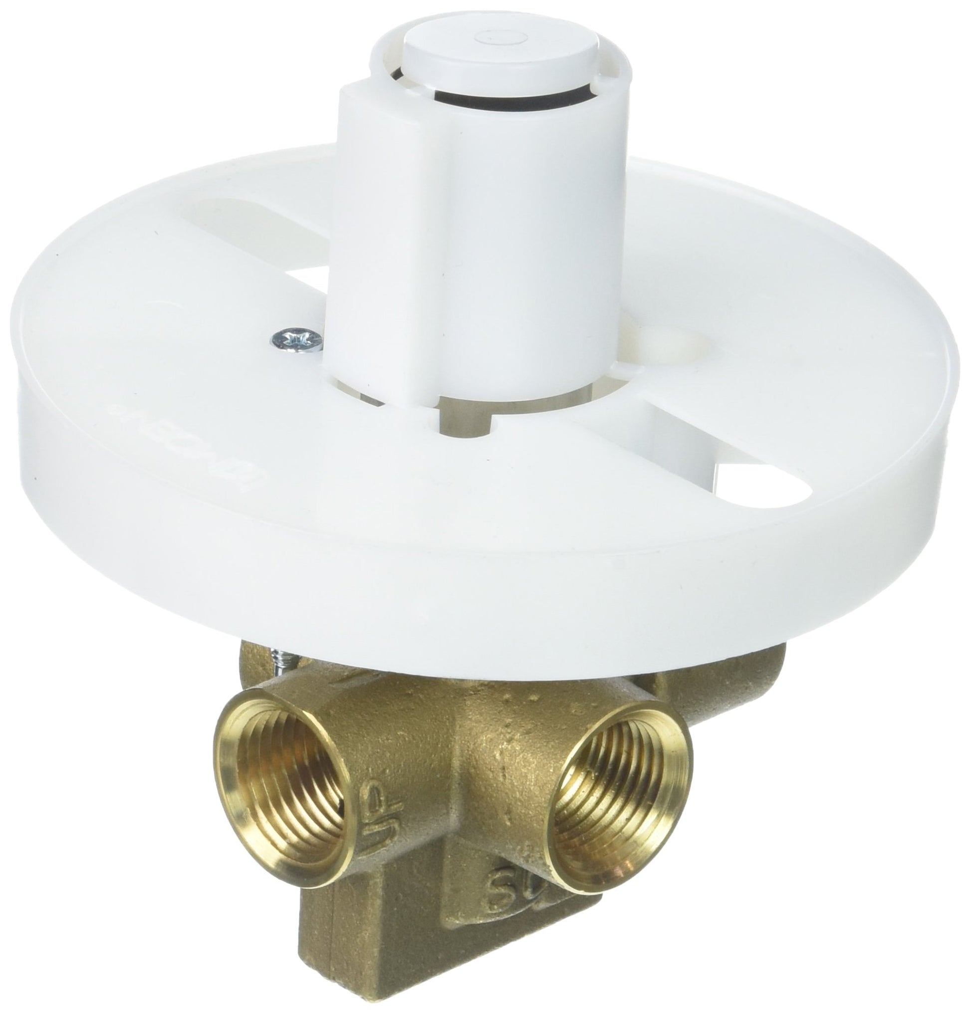 Brass valve with white plastic escutcheon and single handle cartridge on top, two threaded IPS connections visible below.