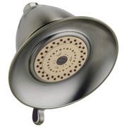 Stainless steel shower head with wide dome face, multiple spray holes arranged in circular pattern, and mounting bracket.