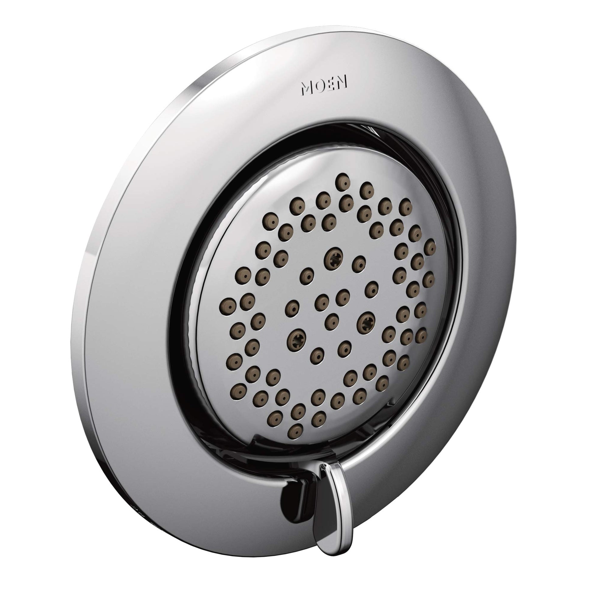 Chrome round body spray with multiple jets and control lever mounted on wall.
