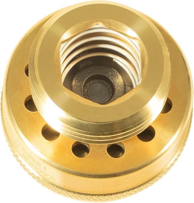Brass vacuum breaker with threaded center opening and six mounting holes around the base, shown from above.
