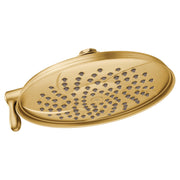 Brushed gold oval showerhead with multiple spray holes and curved lever handle on left side.