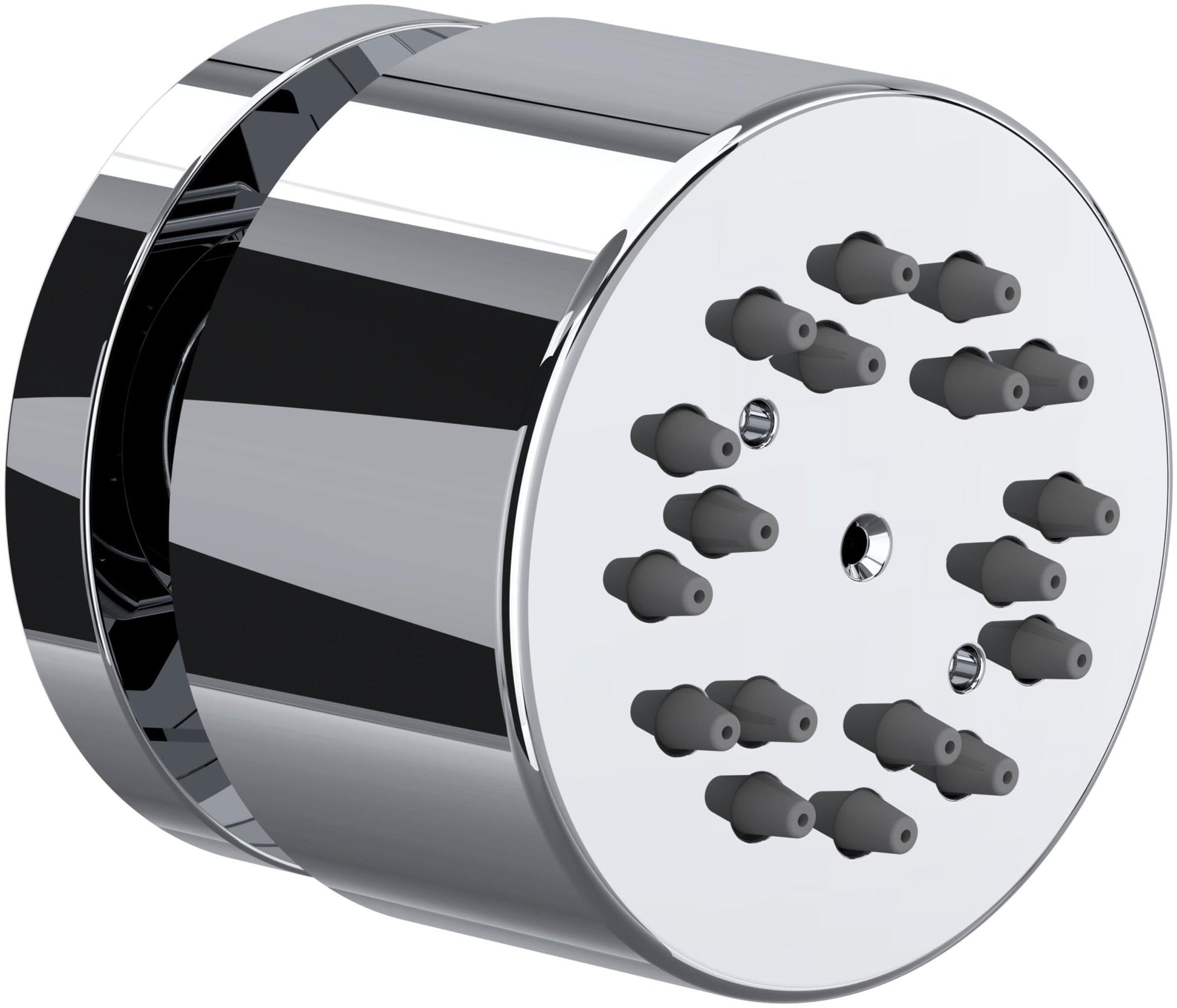 Polished chrome cylindrical body spray with round face plate featuring multiple black spray nozzles.