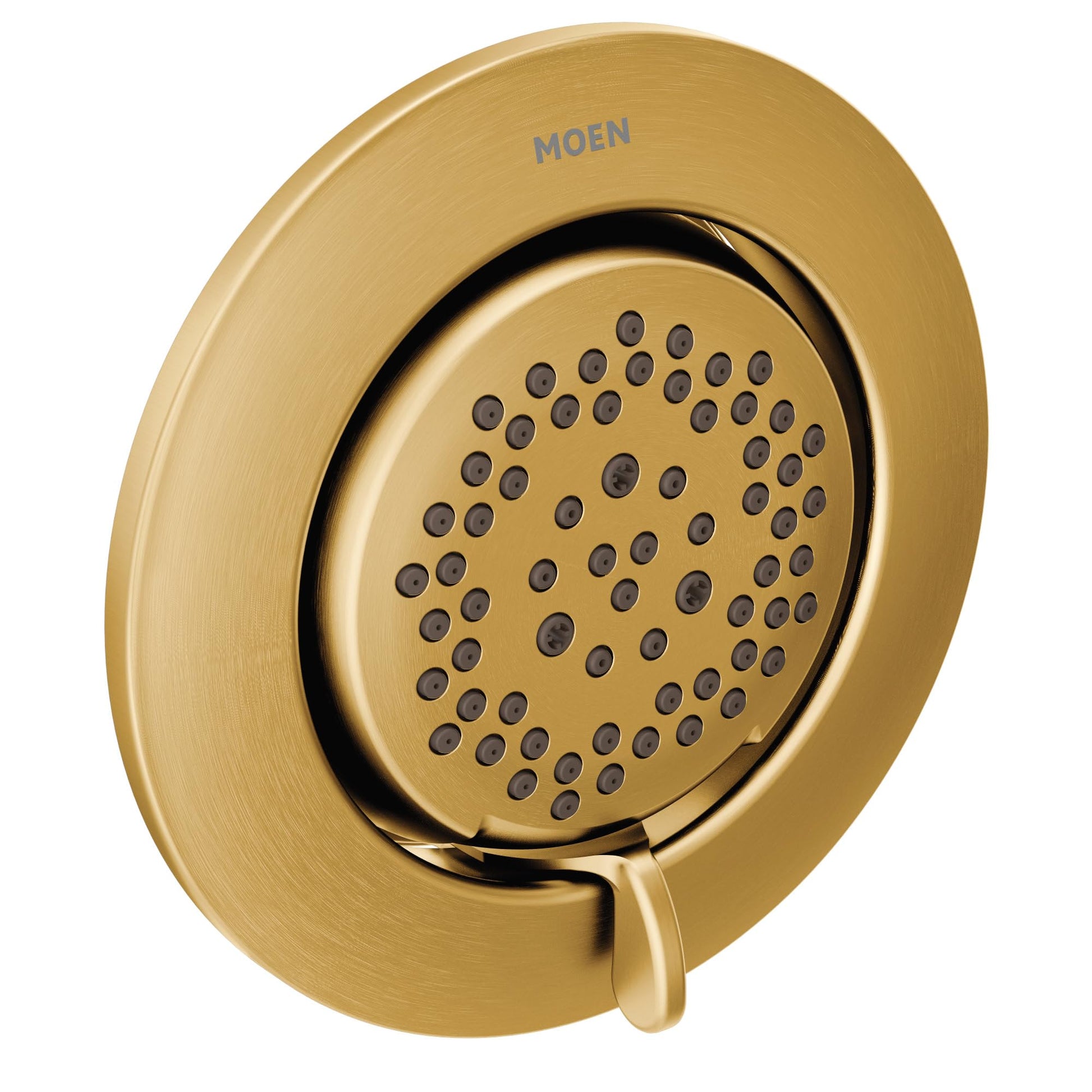 Brushed gold round body spray fixture with multiple spray holes and control lever on escutcheon plate.