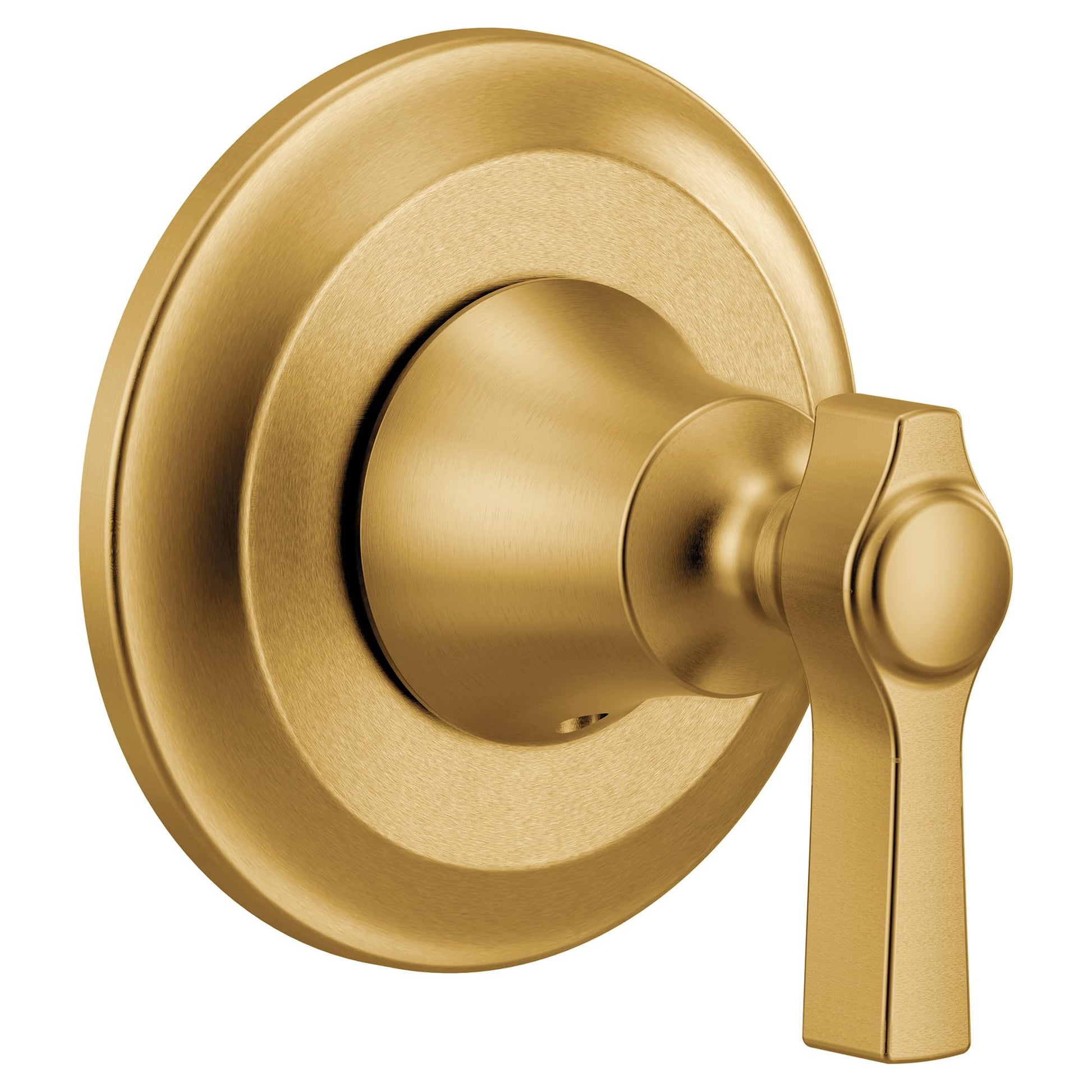 Brushed gold single-handle valve trim with circular escutcheon and lever handle.