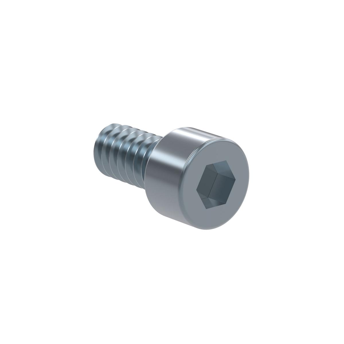 Stainless steel cap screw with hex socket head and threaded shaft, #6-32 size.