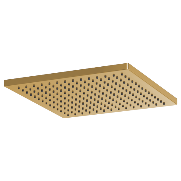 Square brass raincan shower head with evenly spaced perforations across flat surface.