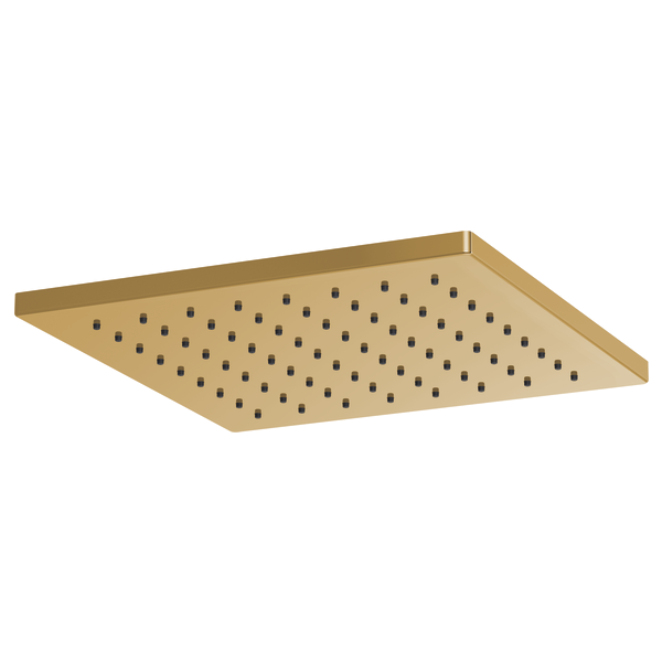 Square brass raincan showerhead with multiple small perforations across the surface.