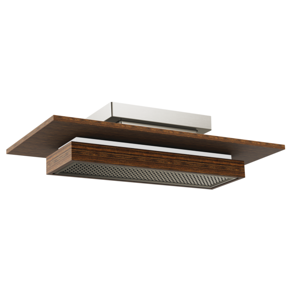 Rectangular raincan showerhead with dark wood trim, perforated face, and integrated lighting strip mounted on ceiling.