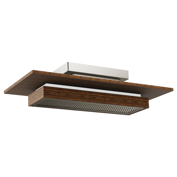 Rectangular raincan shower head with dark wood trim, perforated spray face, and integrated lighting element mounted above.