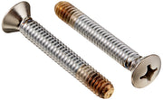 Two stainless steel screws with countersunk and Phillips heads, threaded shafts in silver-gray finish.