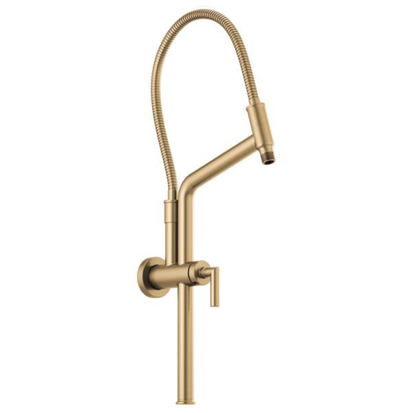 Brizo Universal Showering 10 7/16" Linear Round Slide Bar Shower Arm & Flange