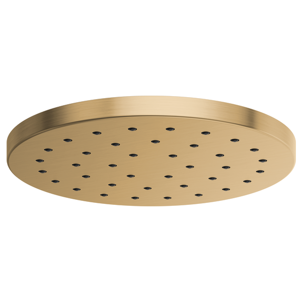 Round brass raincan showerhead with multiple small spray holes evenly distributed across flat circular face.