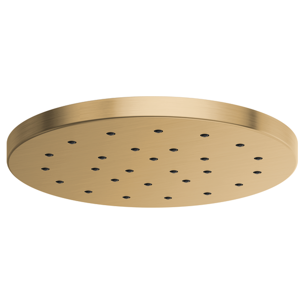 Round brushed gold raincan showerhead with multiple spray holes distributed across flat surface.