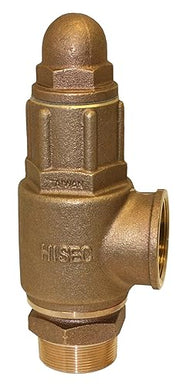 Merrill 2 in. Heavy-Duty Pressure Relief Valve - PRVHDNL200