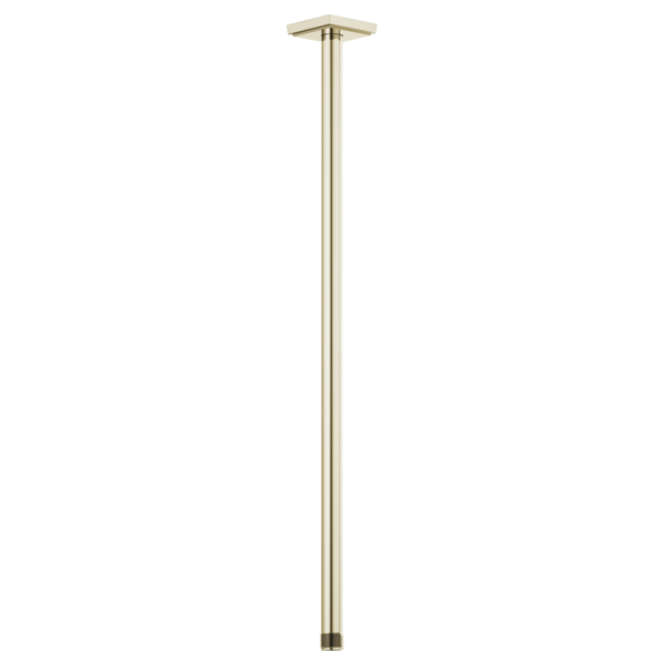 Brushed gold ceiling-mount shower arm with square flange, 24 inches long, vertical orientation.